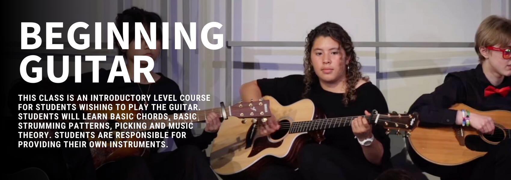 Beginning Guitar students
